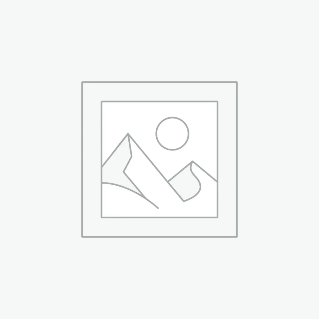 BOPP Laminated Bags